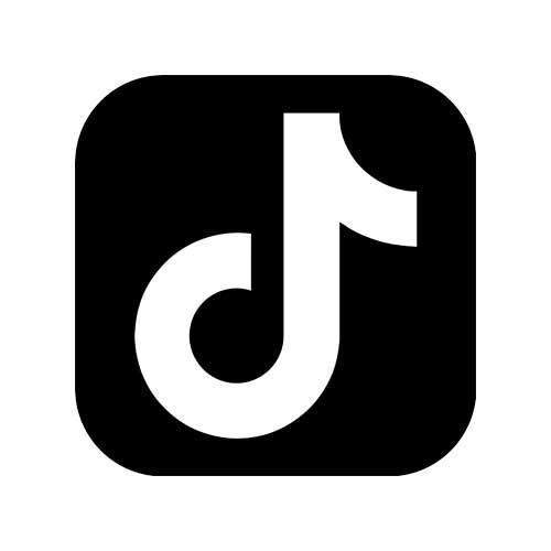 TikTok icon